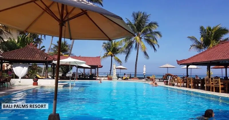 bali palm